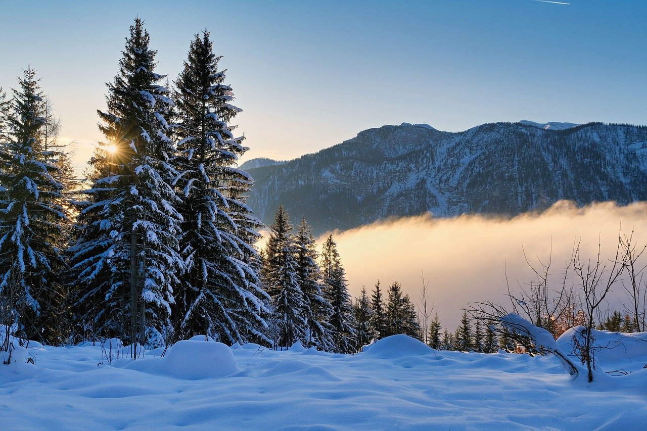 Forest Reflection Cross Stitch