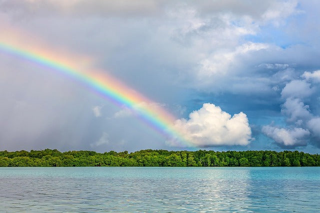 Rainbow Landscape